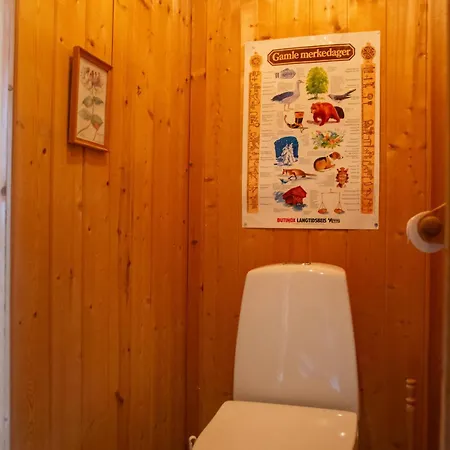 Authentic Norwegian By Hallingskarvet Feriehus